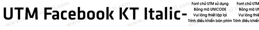 UTM Facebook KT Italic字体转换